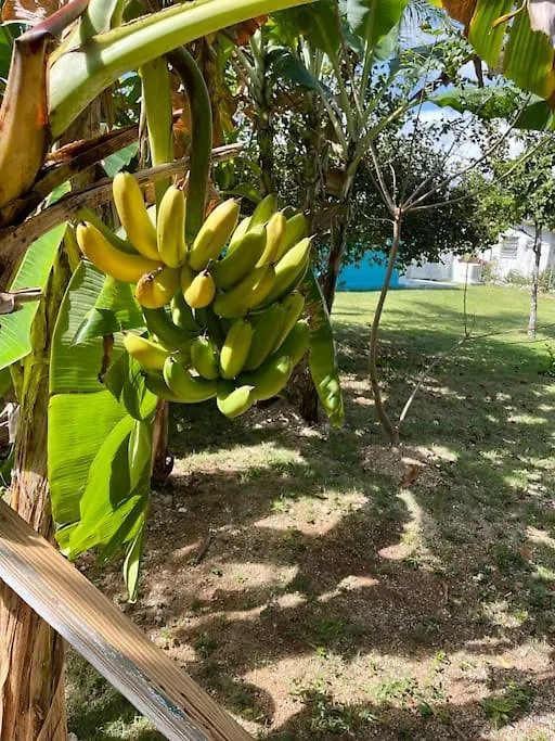 Apartmán Dawson'S Hideaway Nassau