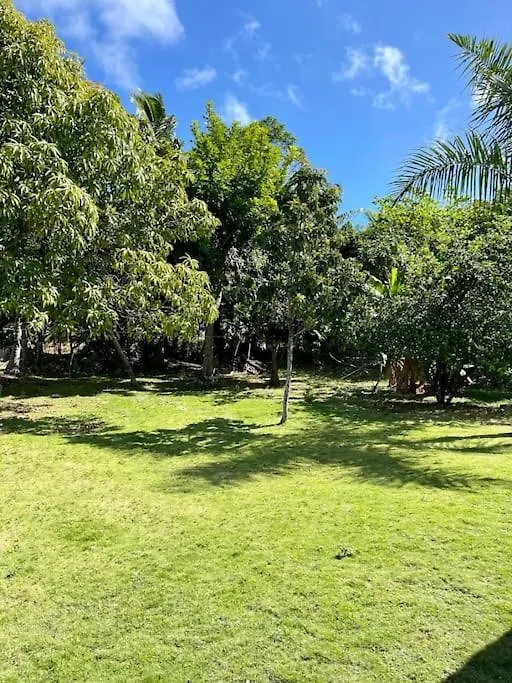 Apartamento Dawson'S Hideaway Nasáu Bahamas